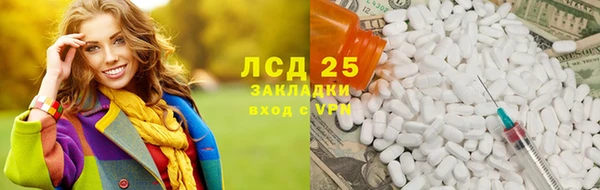 PSILOCYBIN Алзамай