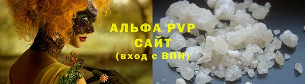 PSILOCYBIN Алзамай