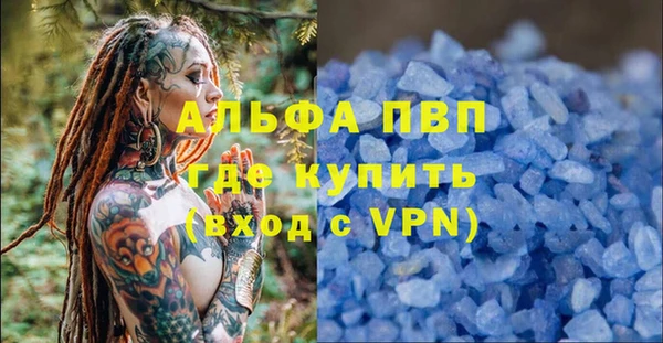 PSILOCYBIN Алзамай