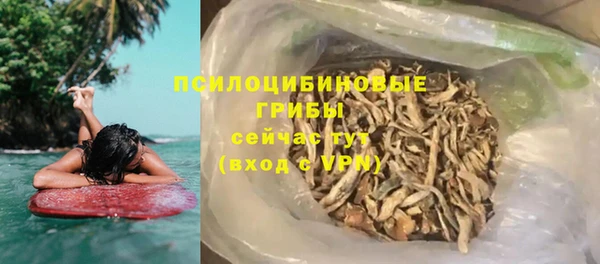 тгк Пересвет